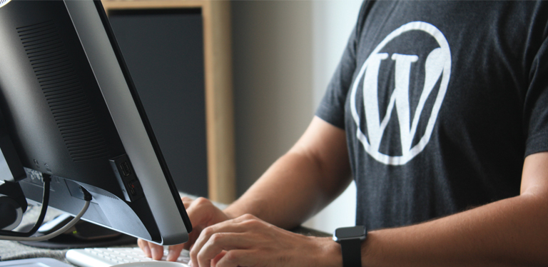 WordPress Kurs - Erstellen Sie ihre eigene Website
